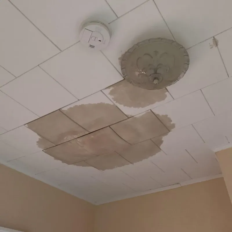 Ceiling Water Damage Repair in Sheffield, PA