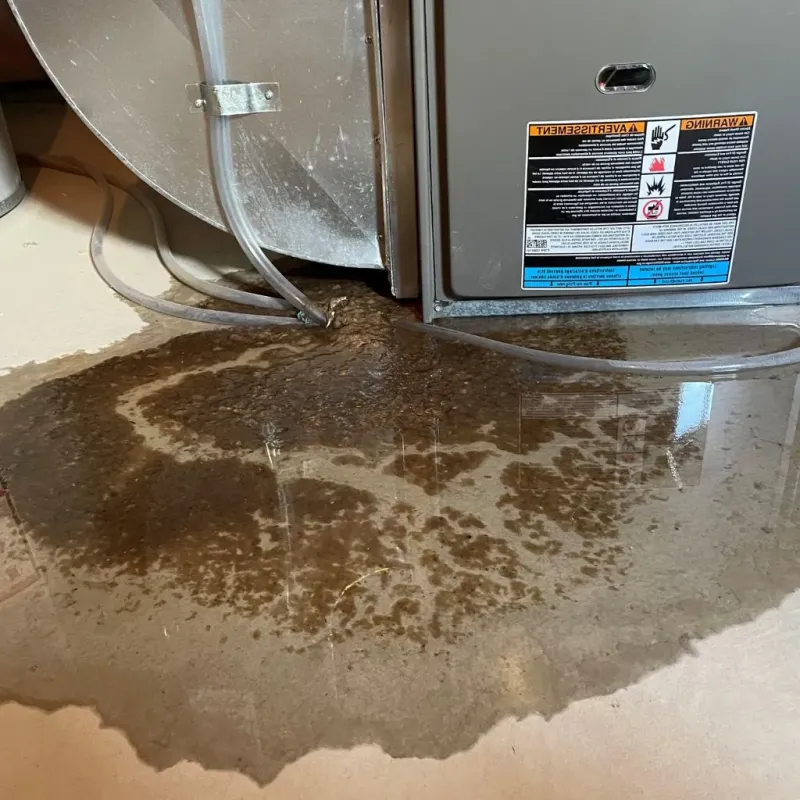 Pipe Burst and Leak Restoration in Sheffield, PA