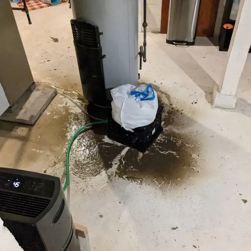 Sewage Backup Cleanup Service in Sheffield, PA